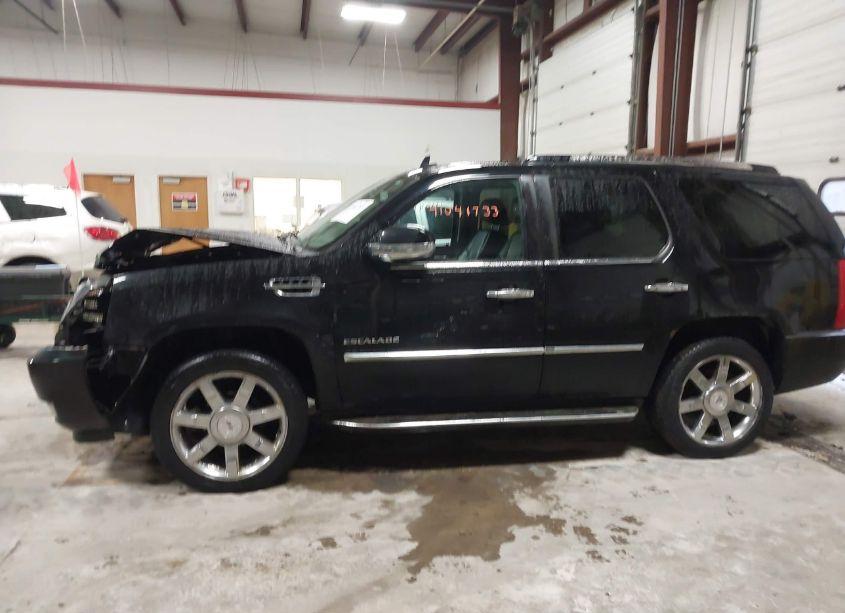 Photo 15 of 2010 Cadillac Escalade LUXURY (VIN 1GYUKBEF0AR201716)