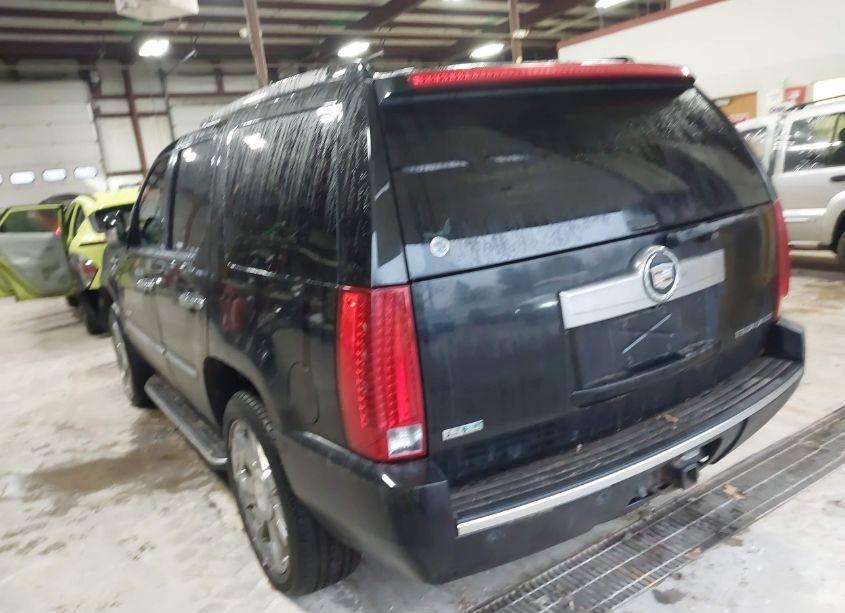 Photo 3 of 2010 Cadillac Escalade LUXURY (VIN 1GYUKBEF0AR201716)