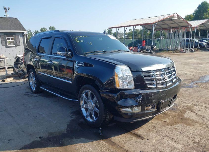 2010 Cadillac Escalade LUXURY (VIN 1GYUKBEF3AR236850) main photo