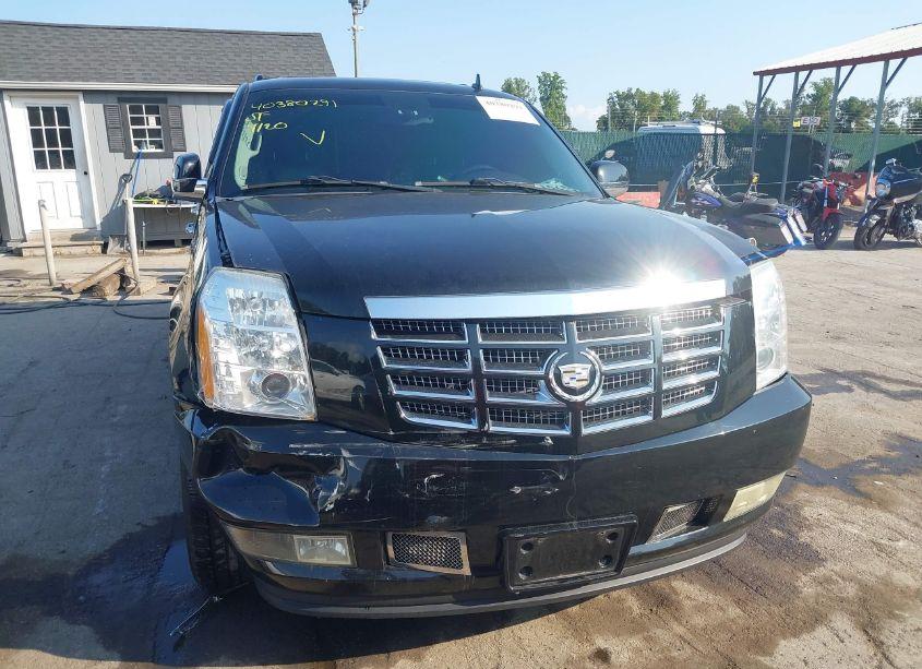 Photo 12 of 2010 Cadillac Escalade LUXURY (VIN 1GYUKBEF3AR236850)