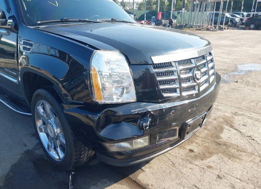 Photo 18 of 2010 Cadillac Escalade LUXURY (VIN 1GYUKBEF3AR236850)