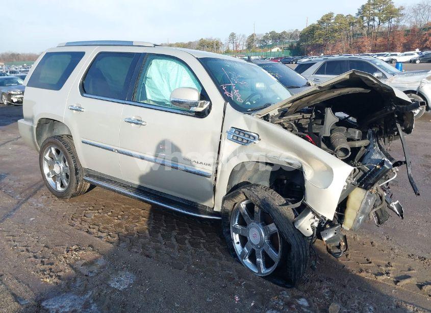 2010 Cadillac Escalade LUXURY (VIN 1GYUKBEF4AR225386) main photo