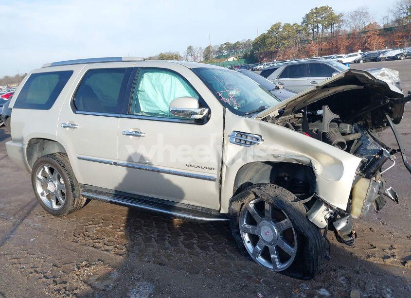 Photo 13 of 2010 Cadillac Escalade LUXURY (VIN 1GYUKBEF4AR225386)