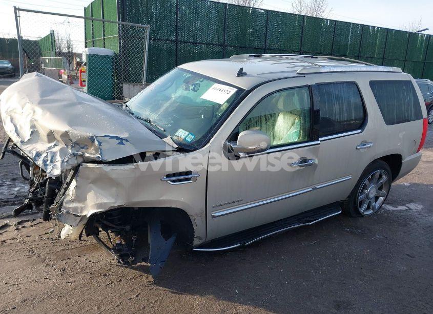 Photo 14 of 2010 Cadillac Escalade LUXURY (VIN 1GYUKBEF4AR225386)