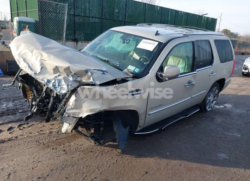 Photo 2 of 2010 Cadillac Escalade LUXURY (VIN 1GYUKBEF4AR225386)