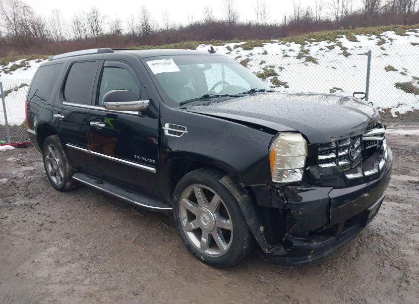 2010 Cadillac Escalade LUXURY (VIN 1GYUKBEF6AR169337) main photo