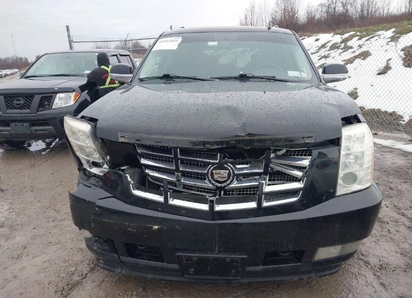 Photo 12 of 2010 Cadillac Escalade LUXURY (VIN 1GYUKBEF6AR169337)