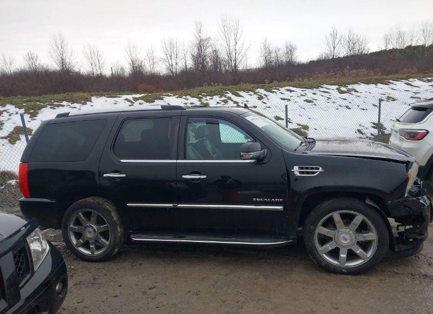 Photo 13 of 2010 Cadillac Escalade LUXURY (VIN 1GYUKBEF6AR169337)