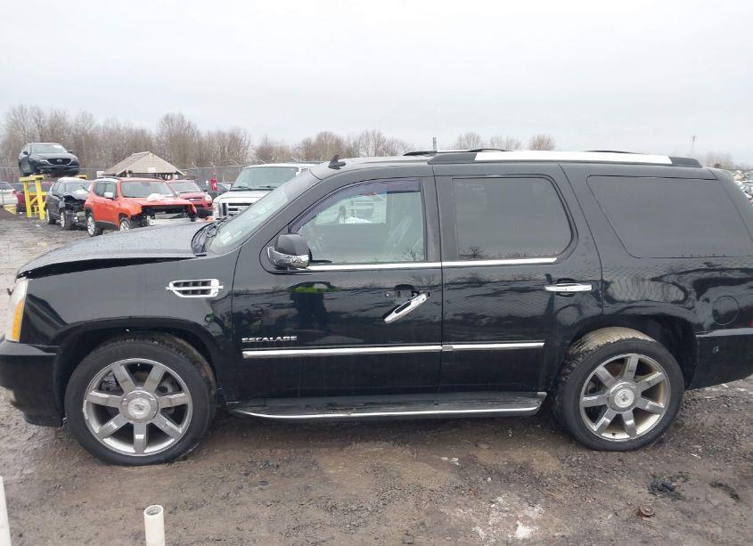Photo 14 of 2010 Cadillac Escalade LUXURY (VIN 1GYUKBEF6AR169337)
