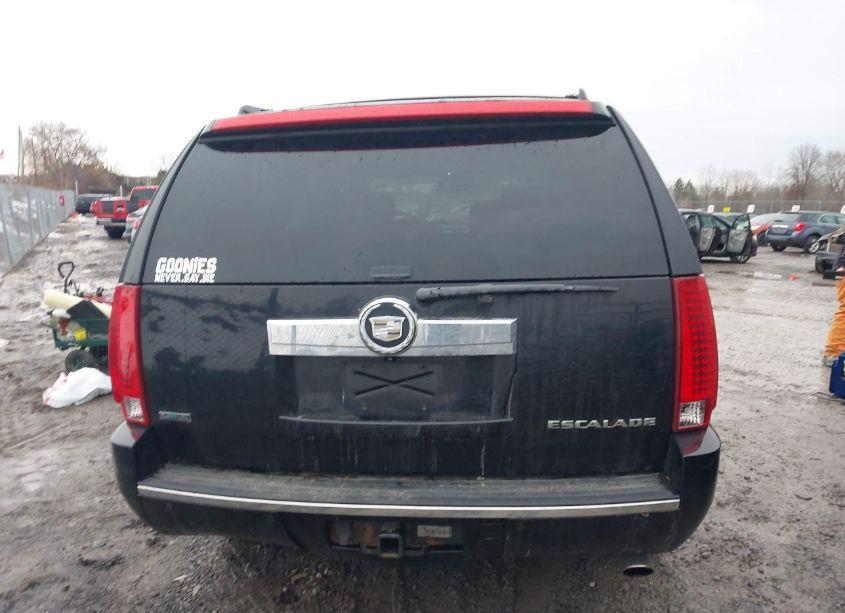 Photo 16 of 2010 Cadillac Escalade LUXURY (VIN 1GYUKBEF6AR169337)