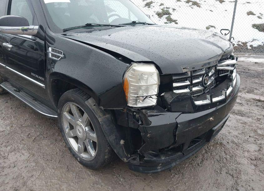 Photo 17 of 2010 Cadillac Escalade LUXURY (VIN 1GYUKBEF6AR169337)
