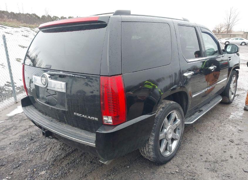Photo 4 of 2010 Cadillac Escalade LUXURY (VIN 1GYUKBEF6AR169337)