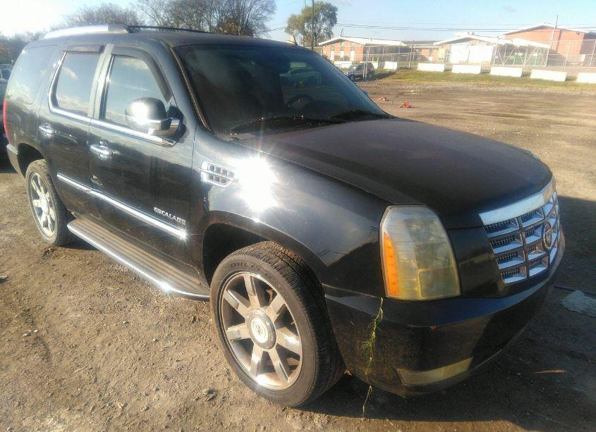 2010 Cadillac Escalade LUXURY (VIN 1GYUKBEF8AR148666) main photo