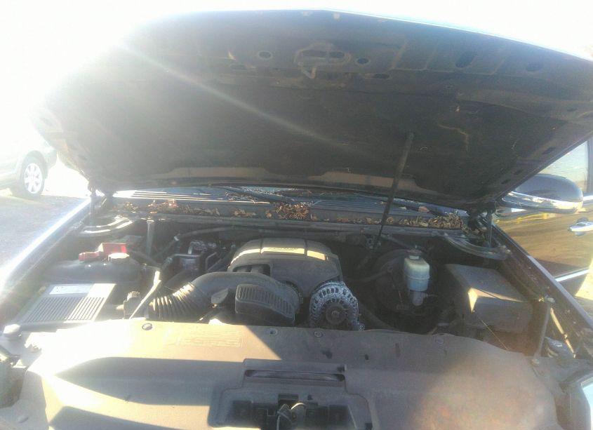 Photo 10 of 2010 Cadillac Escalade LUXURY (VIN 1GYUKBEF8AR148666)