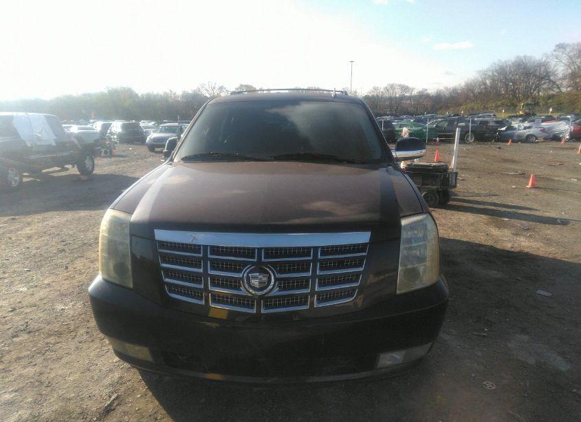 Photo 12 of 2010 Cadillac Escalade LUXURY (VIN 1GYUKBEF8AR148666)