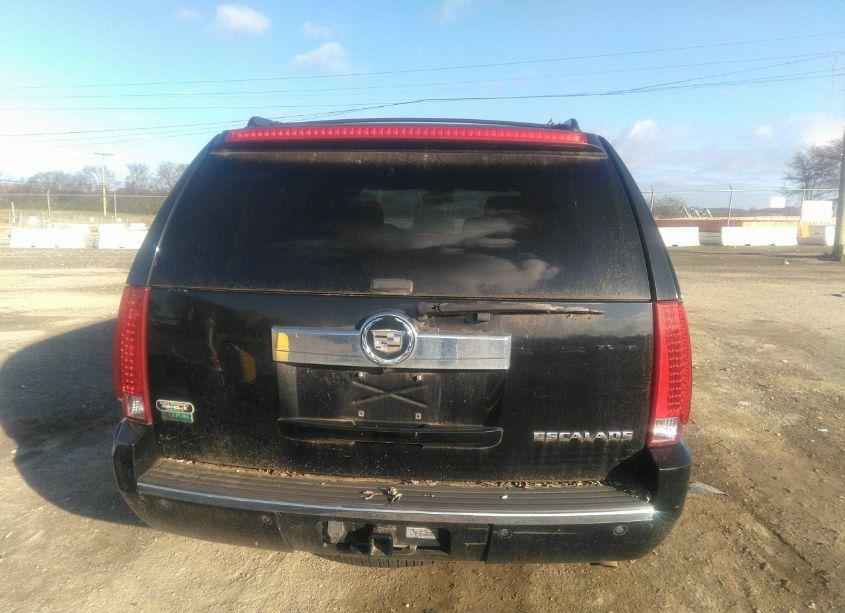 Photo 16 of 2010 Cadillac Escalade LUXURY (VIN 1GYUKBEF8AR148666)