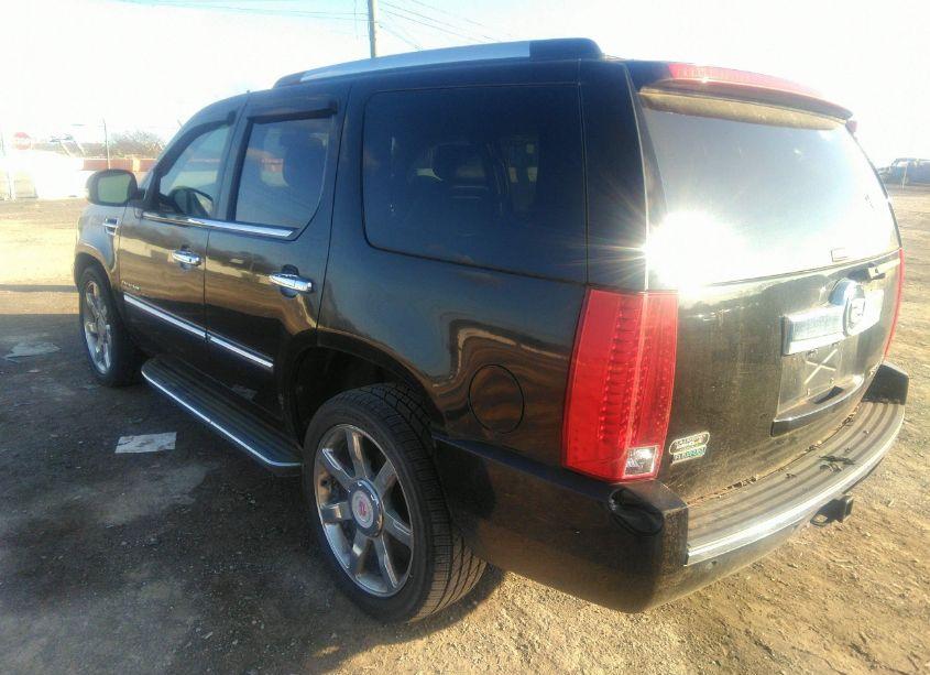 Photo 3 of 2010 Cadillac Escalade LUXURY (VIN 1GYUKBEF8AR148666)