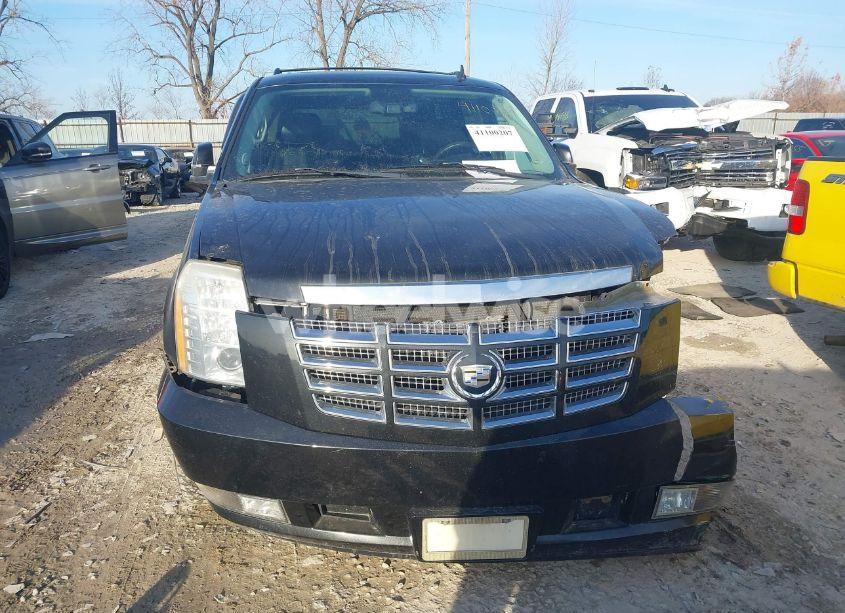 Photo 12 of 2010 Cadillac Escalade PREMIUM (VIN 1GYUKCEF9AR177020)