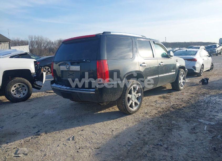 Photo 4 of 2010 Cadillac Escalade PREMIUM (VIN 1GYUKCEF9AR177020)