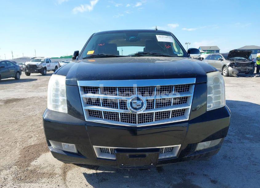 Photo 12 of 2010 Cadillac Escalade PLATINUM EDITION (VIN 1GYUKDEFXAR185214)