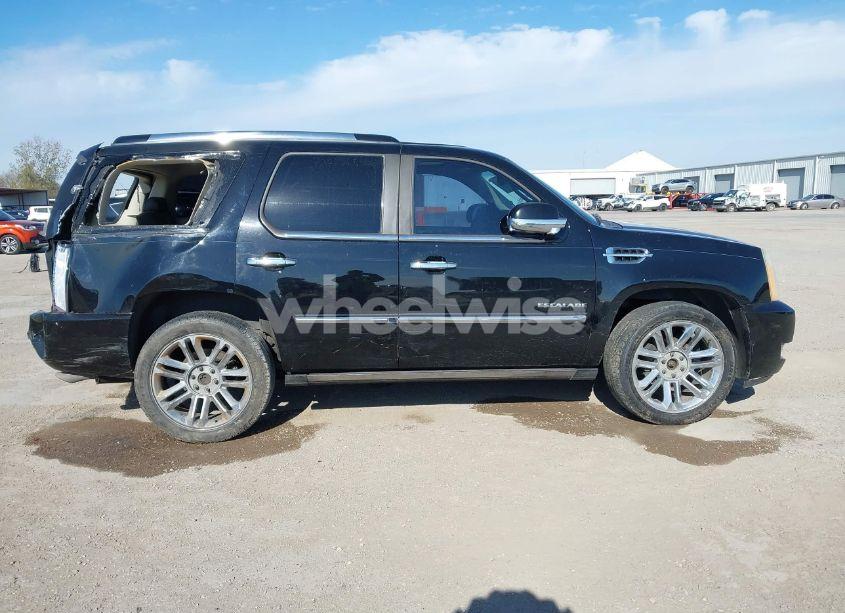 Photo 13 of 2010 Cadillac Escalade PLATINUM EDITION (VIN 1GYUKDEFXAR185214)