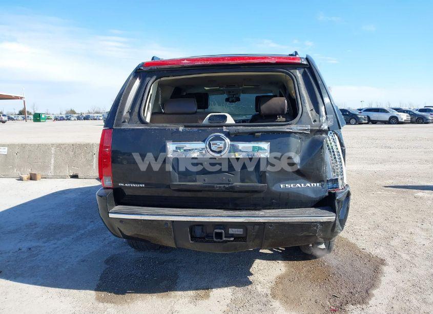Photo 16 of 2010 Cadillac Escalade PLATINUM EDITION (VIN 1GYUKDEFXAR185214)
