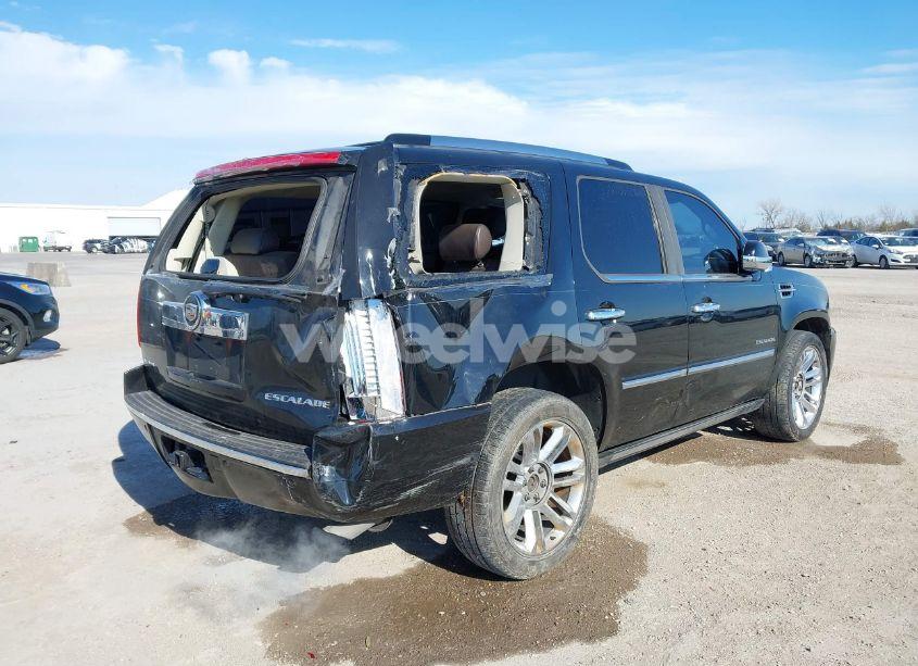 Photo 6 of 2010 Cadillac Escalade PLATINUM EDITION (VIN 1GYUKDEFXAR185214)