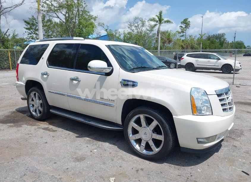 2010 Cadillac Escalade HYBRID STANDARD (VIN 1GYUKEEJ2AR223576) main photo