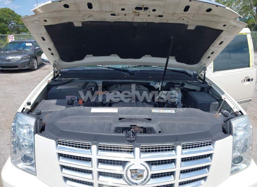 Photo 10 of 2010 Cadillac Escalade HYBRID STANDARD (VIN 1GYUKEEJ2AR223576)
