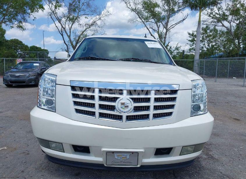 Photo 13 of 2010 Cadillac Escalade HYBRID STANDARD (VIN 1GYUKEEJ2AR223576)