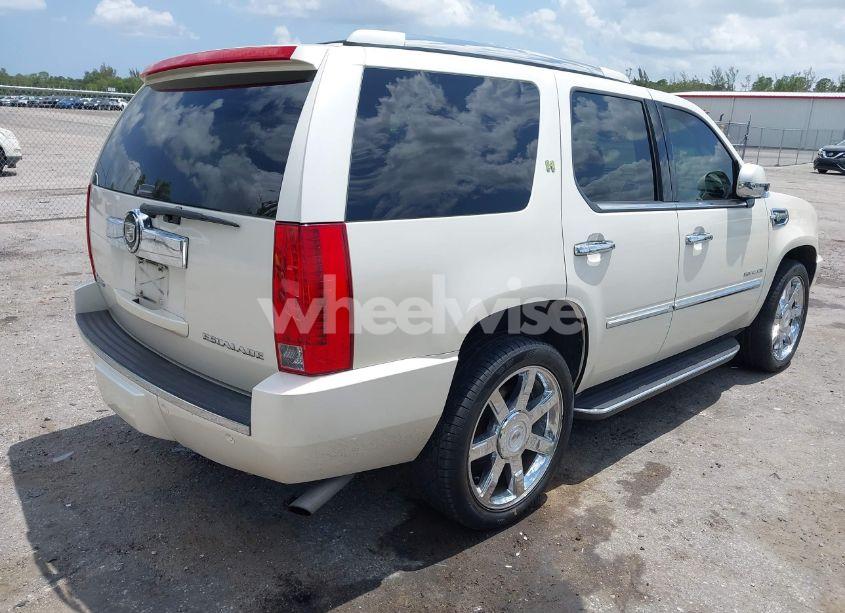 Photo 4 of 2010 Cadillac Escalade HYBRID STANDARD (VIN 1GYUKEEJ2AR223576)