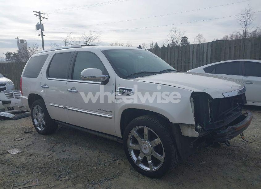 2010 Cadillac Escalade HYBRID STANDARD (VIN 1GYUKEEJ8AR169281) main photo