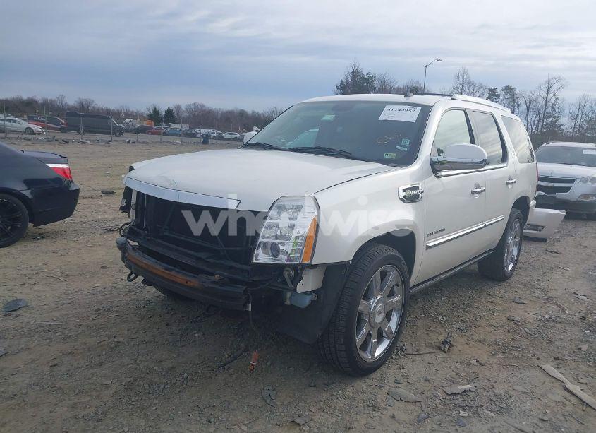 Photo 2 of 2010 Cadillac Escalade HYBRID STANDARD (VIN 1GYUKEEJ8AR169281)