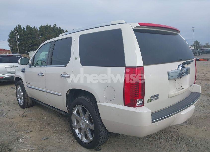 Photo 3 of 2010 Cadillac Escalade HYBRID STANDARD (VIN 1GYUKEEJ8AR169281)