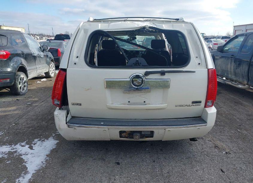 Photo 15 of 2010 Cadillac Escalade ESV LUXURY (VIN 1GYUKHEF2AR113818)