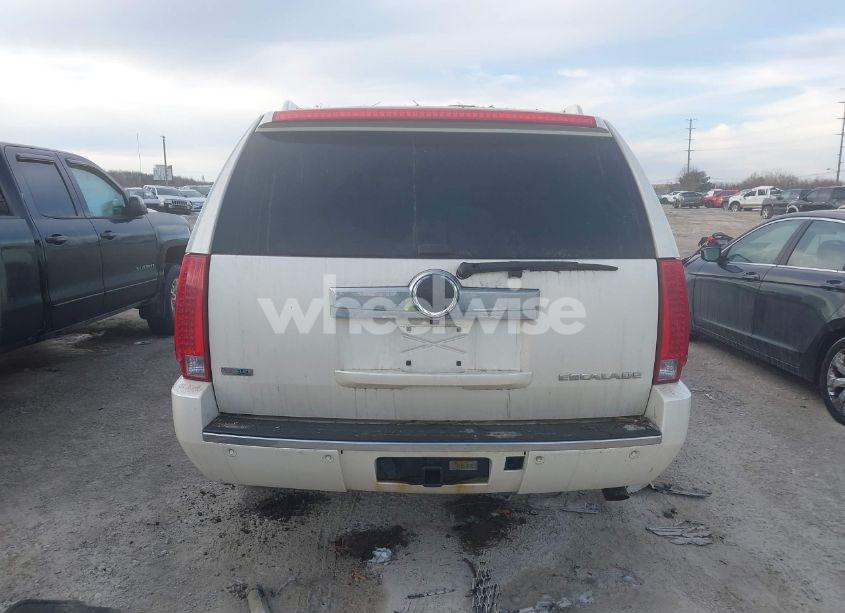 Photo 17 of 2010 Cadillac Escalade ESV LUXURY (VIN 1GYUKHEF7AR157913)