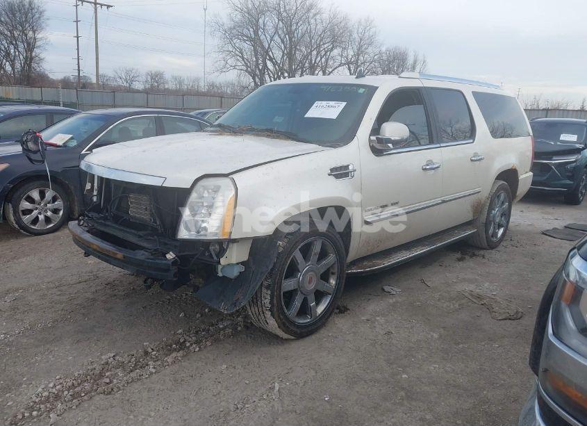 Photo 2 of 2010 Cadillac Escalade ESV LUXURY (VIN 1GYUKHEF7AR157913)