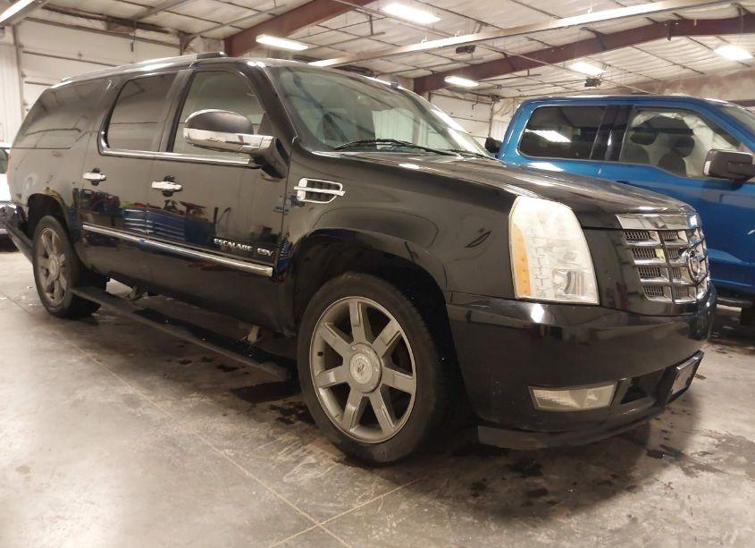 2010 Cadillac Escalade ESV PREMIUM (VIN 1GYUKJEF5AR159473) main photo