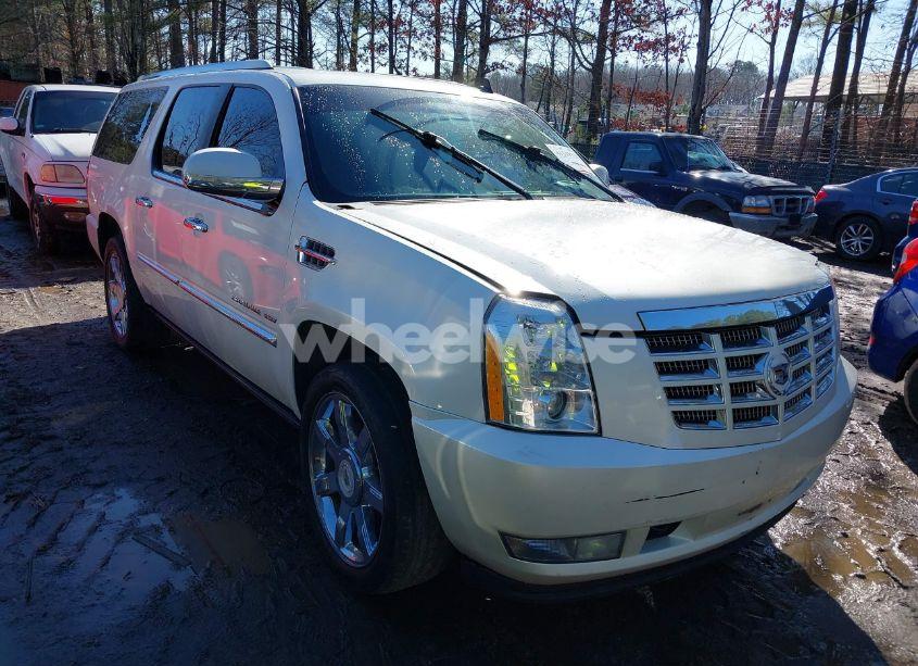 2010 Cadillac Escalade ESV PREMIUM (VIN 1GYUKJEFXAR228500) main photo