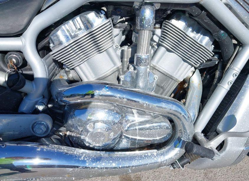 Photo 8 of 2003 Harley-davidson Vrsca ANNIVERSARY (VIN 1HD1HAZ433K834036)