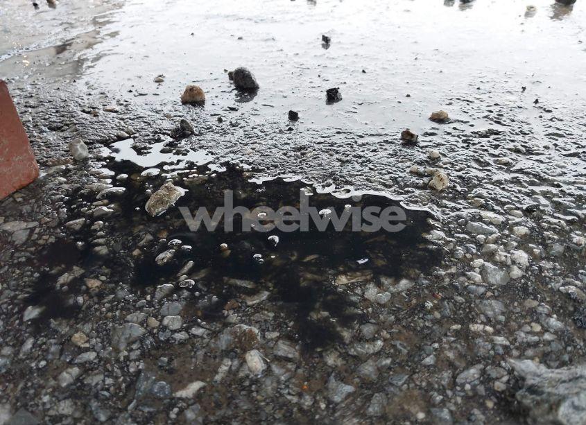 Photo 14 of 2017 Harley-davidson Flss (VIN 1HD1JS912HB046632)