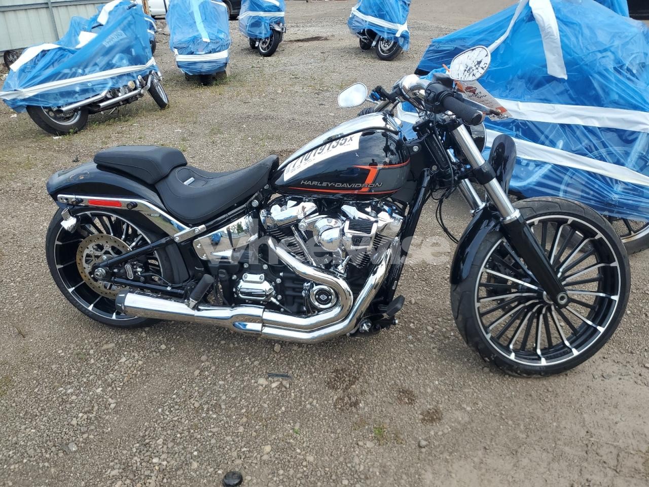 2023 HARLEY-DAVIDSON FXBR (VIN 1HD1YEZ19PB020136) main photo