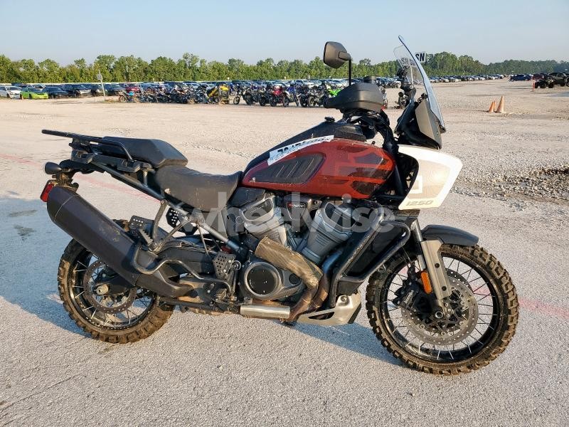 2024 HARLEY-DAVIDSON RA1250 S (VIN 1HD1ZES17RB309672) main photo