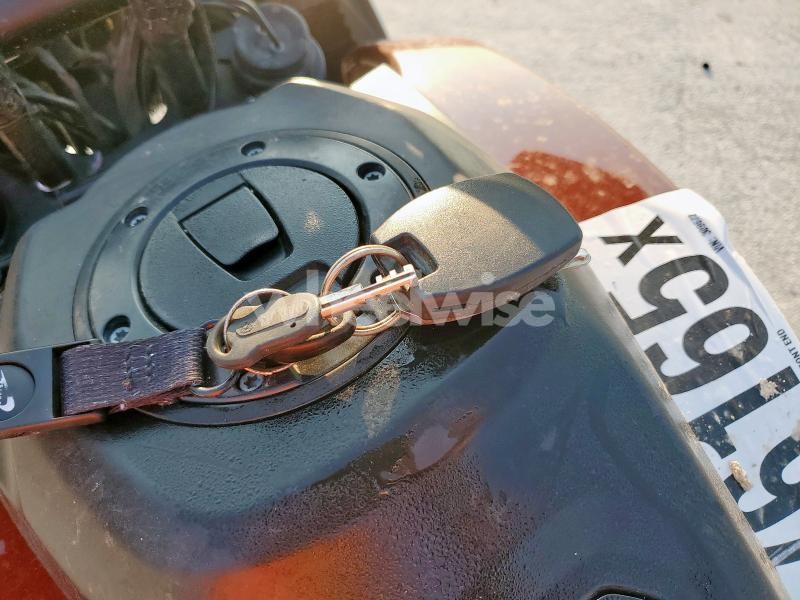 Photo 6 of 2024 HARLEY-DAVIDSON RA1250 S (VIN 1HD1ZES17RB309672)