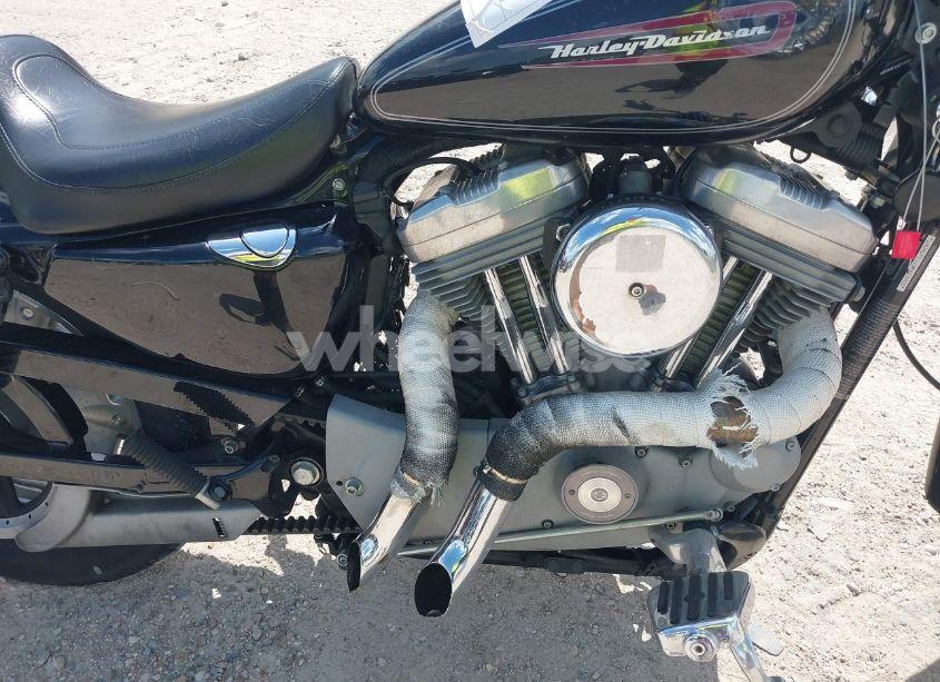 Photo 8 of 2009 Harley-davidson Xl883 C (VIN 1HD4CP21X9K433705)