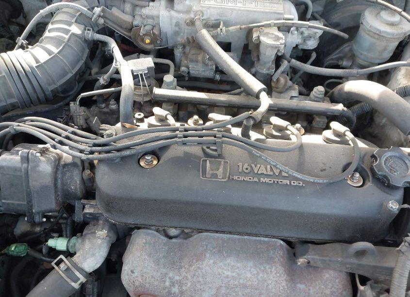 Photo 10 of 1991 Honda Accord LX (VIN 1HGCB7251MA012409)