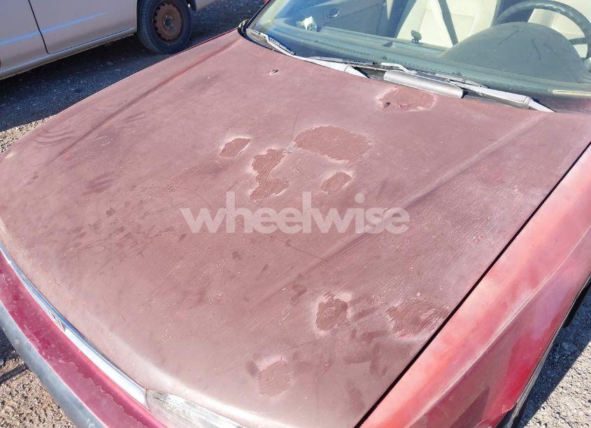 Photo 6 of 1991 Honda Accord LX/EX (VIN 1HGCB765XMA204440)