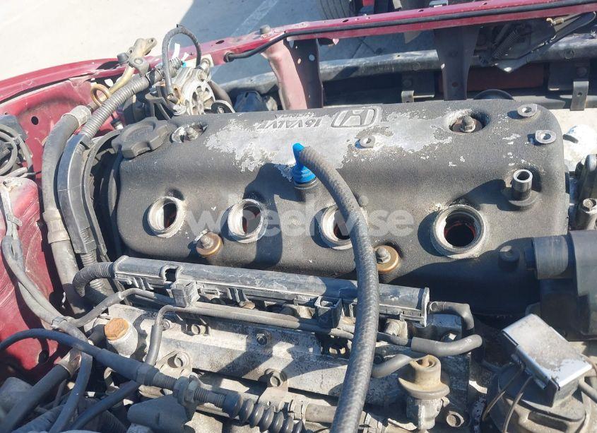 Photo 13 of 1994 Honda Accord DX (VIN 1HGCD5527RA109007)