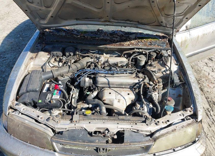 Photo 10 of 1996 Honda Accord LX/EX (VIN 1HGCD5536TA268164)