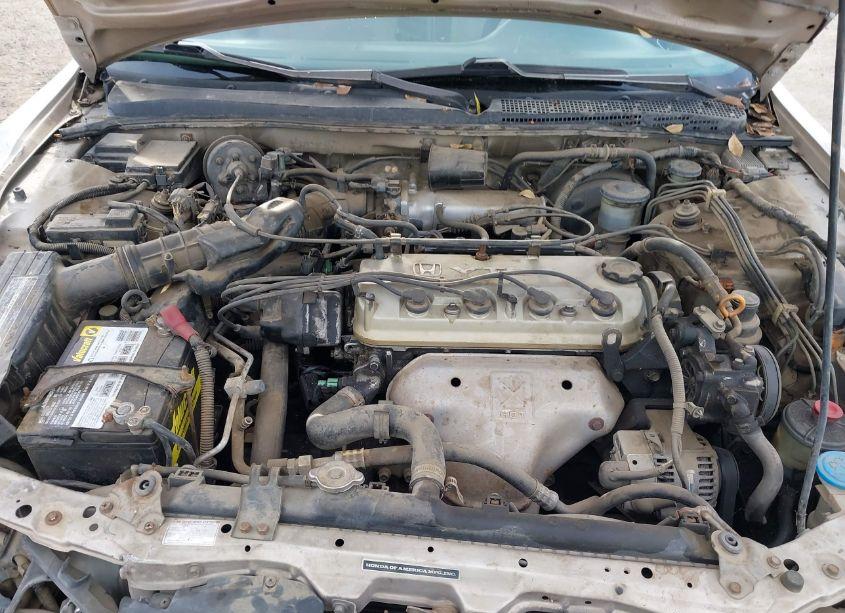 Photo 10 of 1995 Honda Accord EX (VIN 1HGCD5562SA064258)